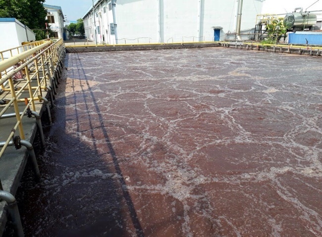 Bùn vi sinh được sử dụng rộng rãi trong việc làm sạch nguồn nước