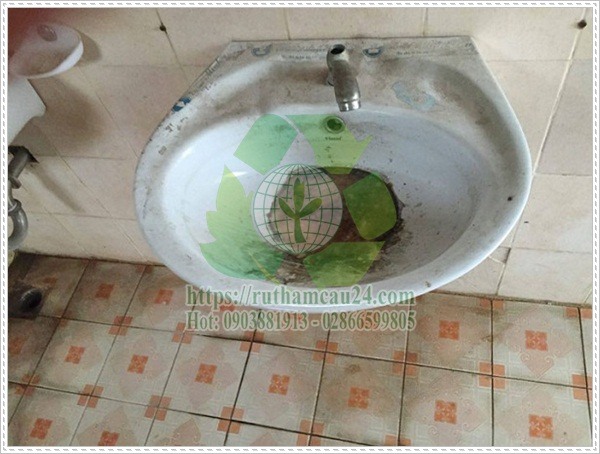 nguyên nhân nhà vệ sinh mới xây có mùi hôi