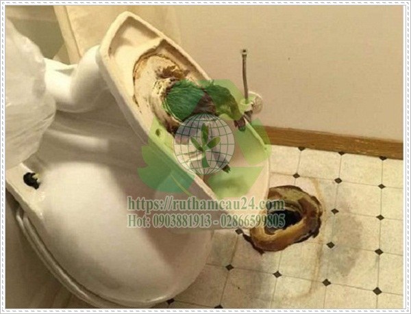 Sử dụng quá nhiều giấy vệ sinh cho một lần dùng