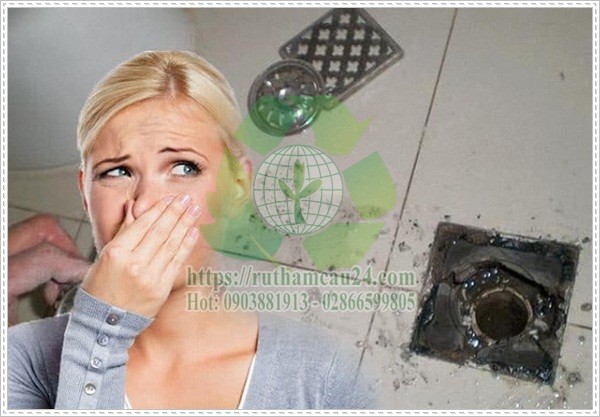 một số mẹo giúp hầm cầu luôn sạch sẽ